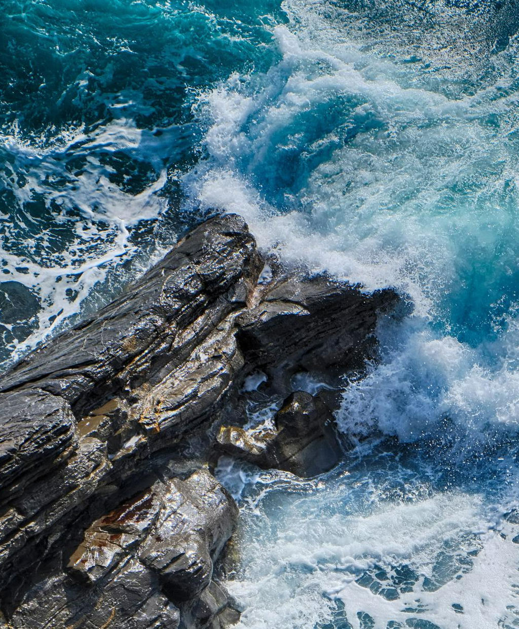 Quando la terra e il mare si incontrano, Ines sostiene la causa