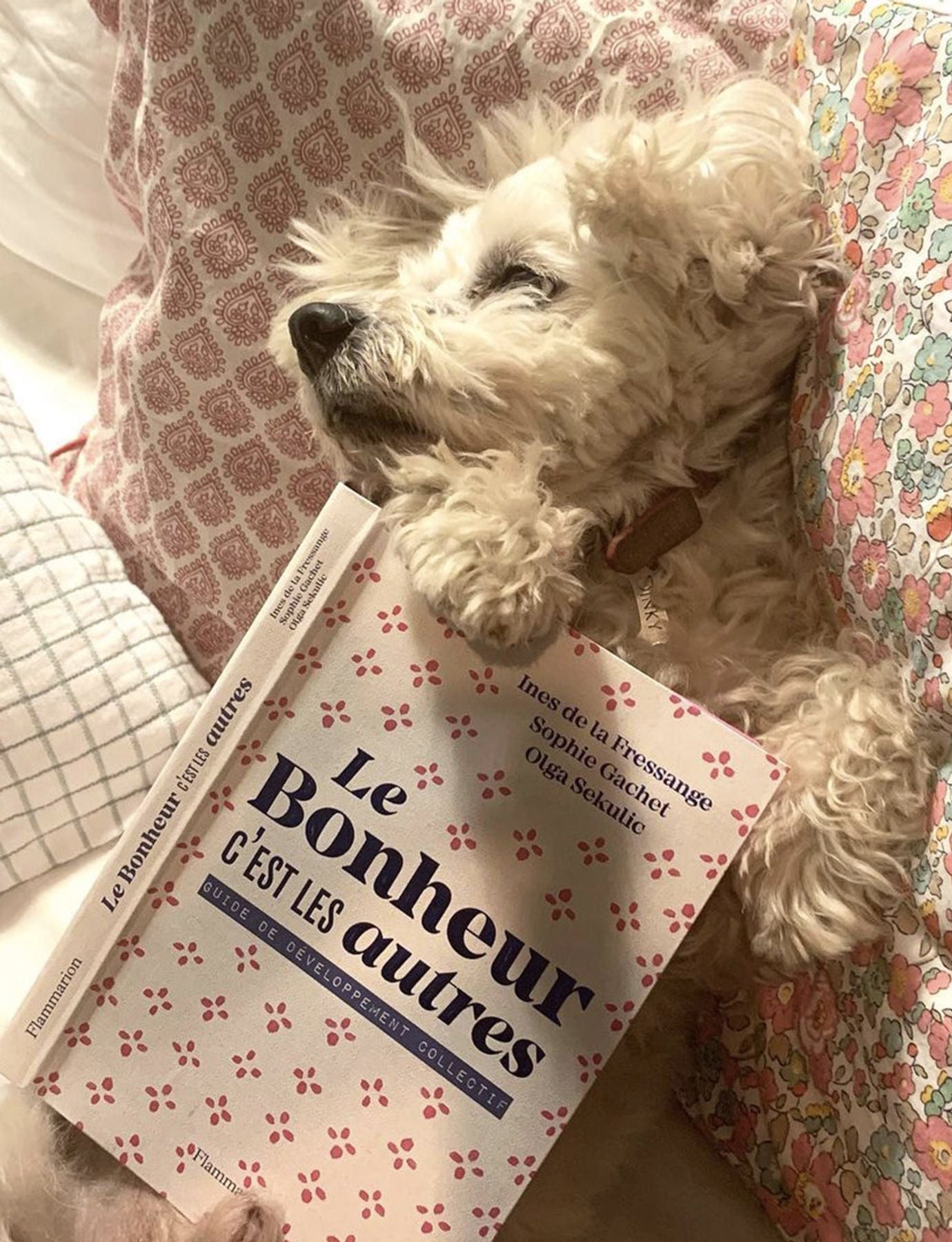 Libro "Le Bonheur c'est les autres"